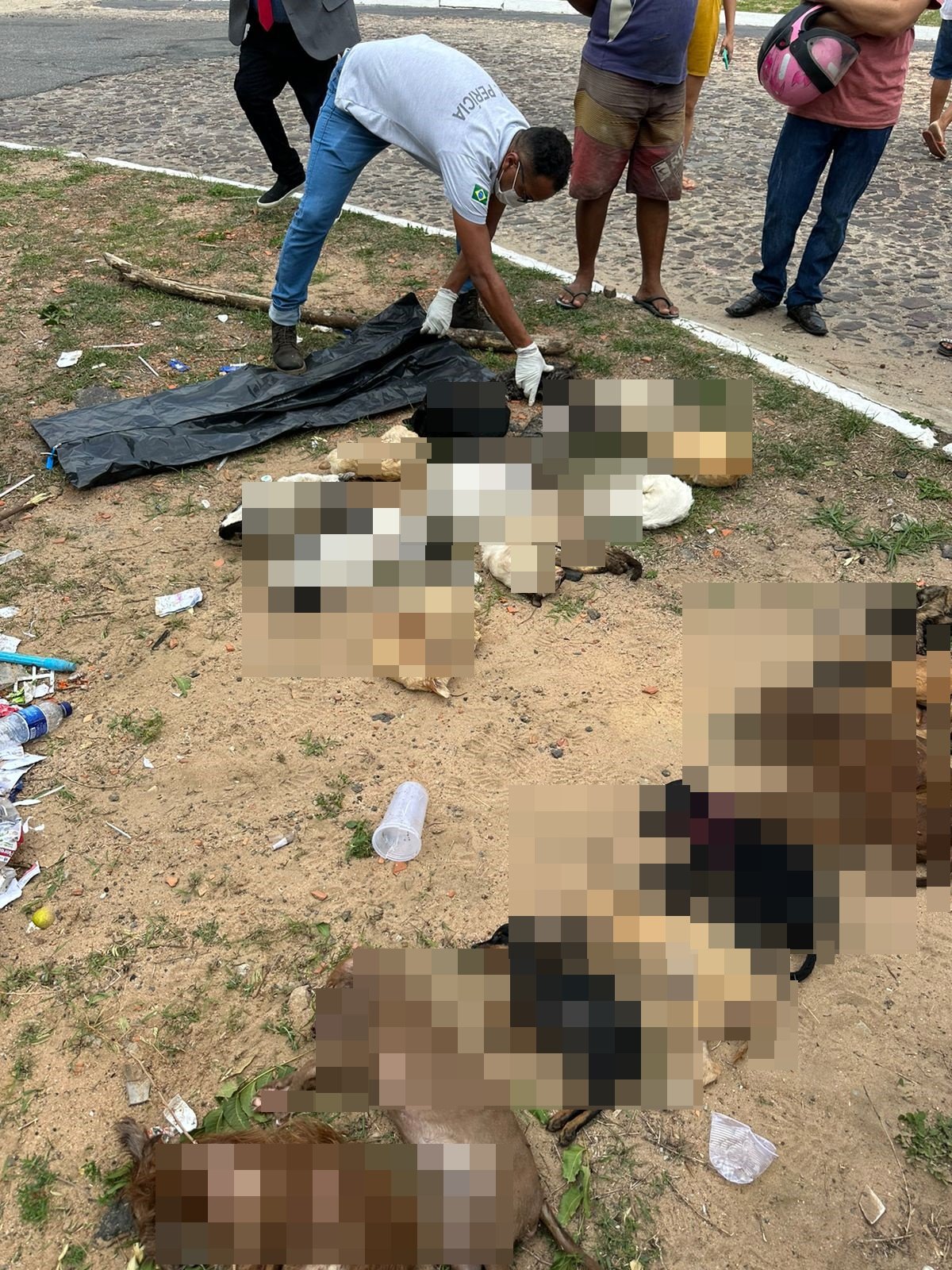 corpos de animais em Parnaíba