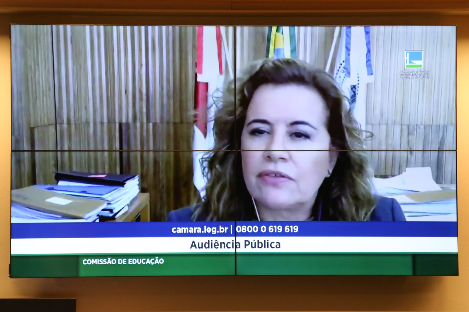 Audiência Pública - Situação institucional das universidades federais brasileiras. Sandra Regina Goulart Almeida - REITORA DA UNIVERSIDADE FEDERAL DE MINAS GERAIS - UFMG