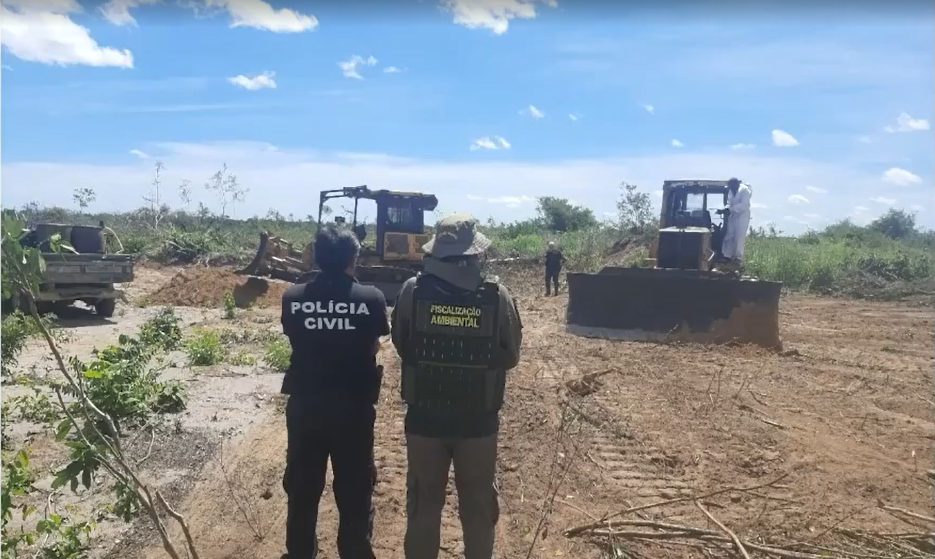 SEMARH realiza ações de combate ao desmatamento no Sul do Piauí/ Foto: Semarh
